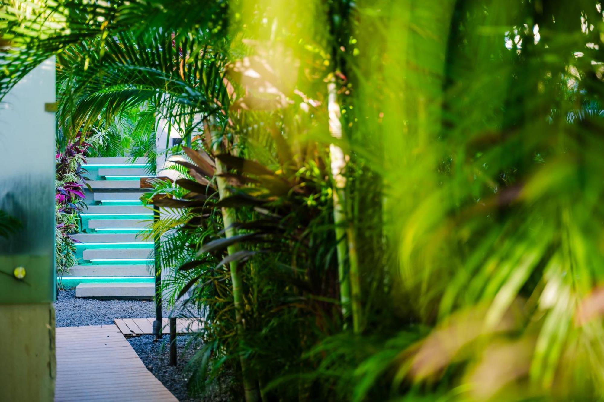 Mvillas Luxury Villas With Beach Club Access & Sauna Tamarindo Dış mekan fotoğraf